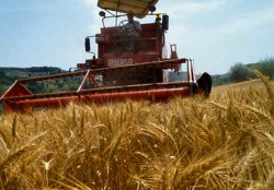 AGRISFERA soc. coop agr. p.a.